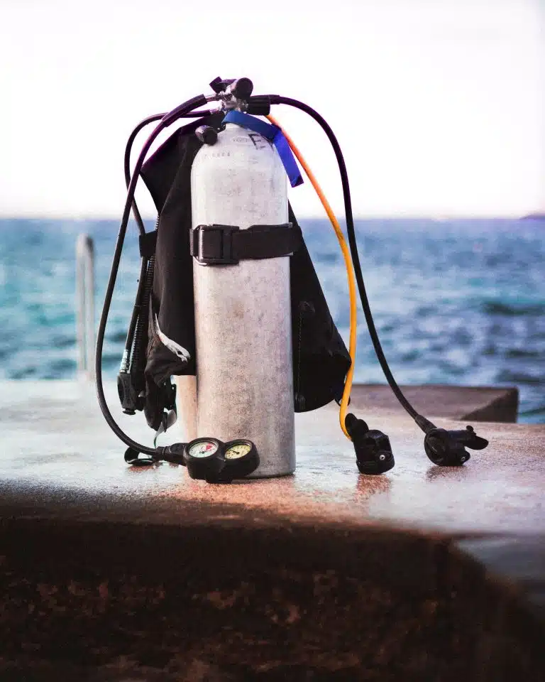 PADI vs. SSI vs. NAUI vs. BSAC