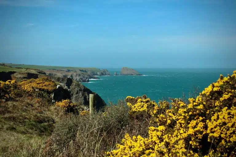Kayaking in Pembrokeshire and South Wales: Cliffs, Harbours and SEALS!