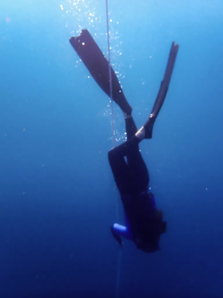 Beneath the Surface: How Freediving Changed My Relationship with Anxiety