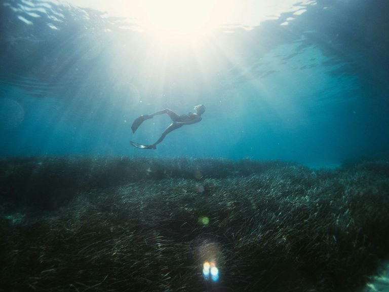 Freediving Certifications – A Complete Guide
