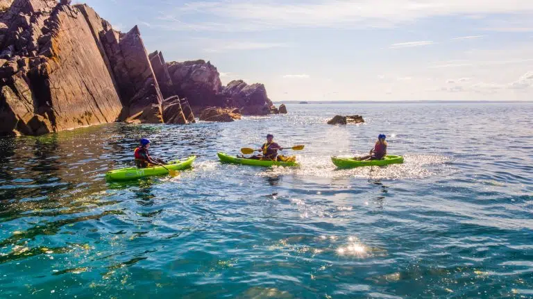Kayaking Gear 101: Your Guide to the Essentials
