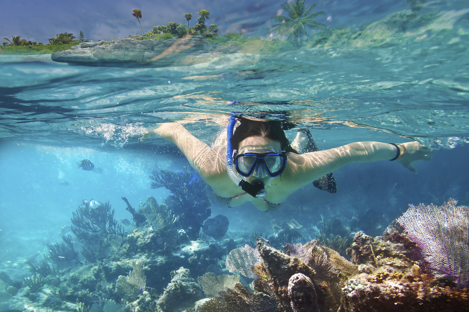 Snorkelling Experience in Unawatuna Bay – Guided Reef Tour | adventuro