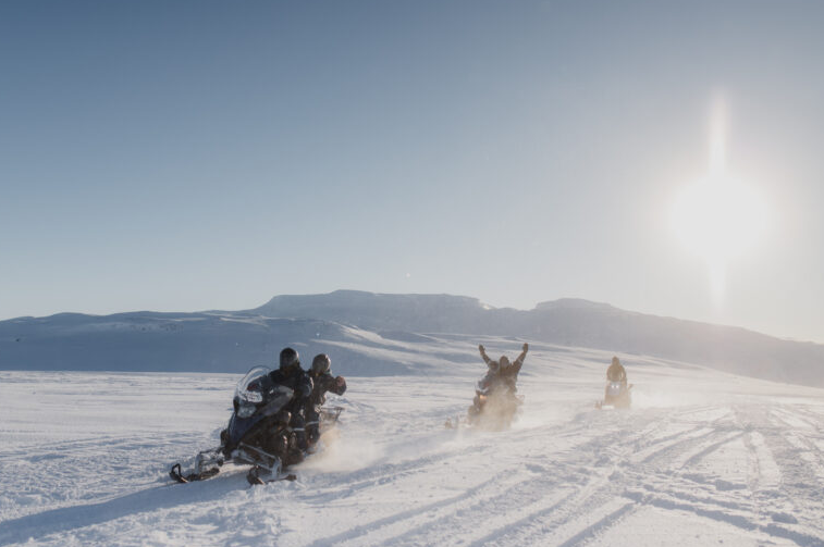 Haukur