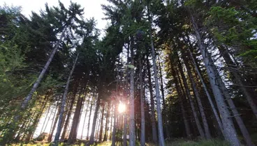 Private Mountain Biking in Vitosha from Sofia, photo 4