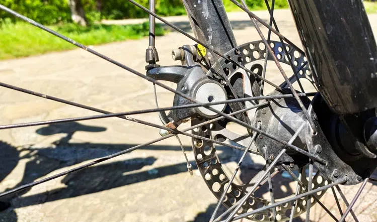 Private Full Day Cycling Tour in the Rhodope Mountains, listing photo