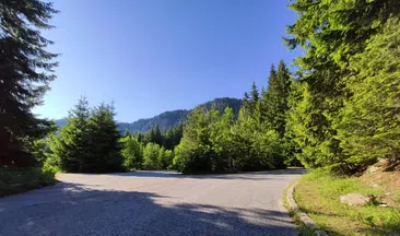 Private Full Day Cycling Tour in the Rhodope Mountains, photo 2