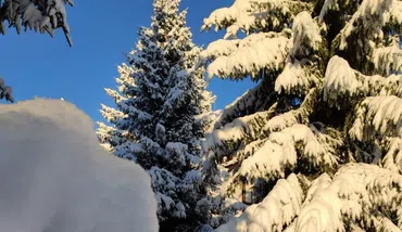 Private 2 Day Snowshoe Adventure from Sofia, photo 3