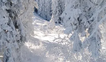 Private 2 Day Snowshoe Adventure from Sofia, photo 4