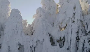 Private 2 Day Snowshoe Adventure from Sofia, photo 2