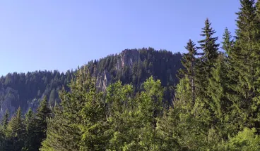 Hike and Tandem Paraglide Adventure on Vitosha Mountain, photo 4