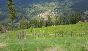 Private Buggy Adventure in the Bulgarian Mountains, photo 4