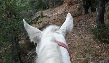 Private Horse Riding Tour to Perelik Peak, photo 2