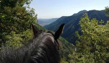 Private Horse Riding Tour to Perelik Peak, photo 3