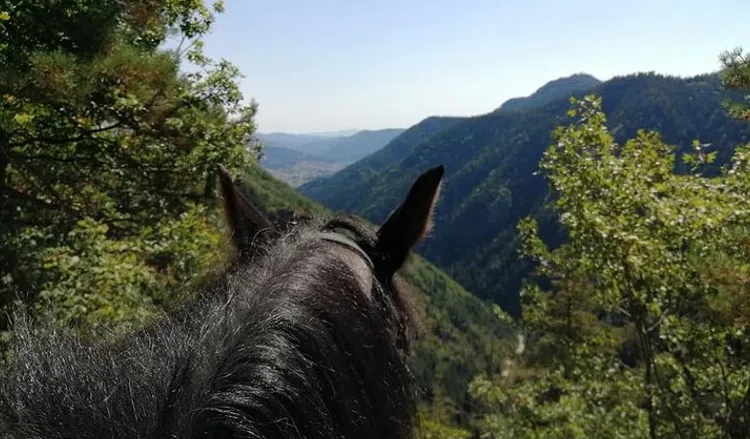 Horse Riding Tour to Soskovcheto Preserve, listing photo