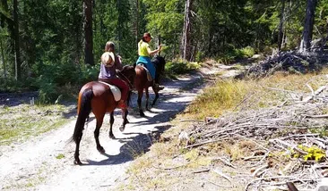 Horse Riding Tour to Soskovcheto Preserve, photo 4