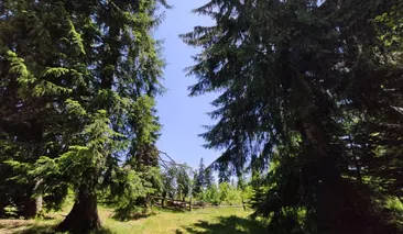 Private 2 Day Horseback Riding Adventure in the Rhodope Mountains, photo 2