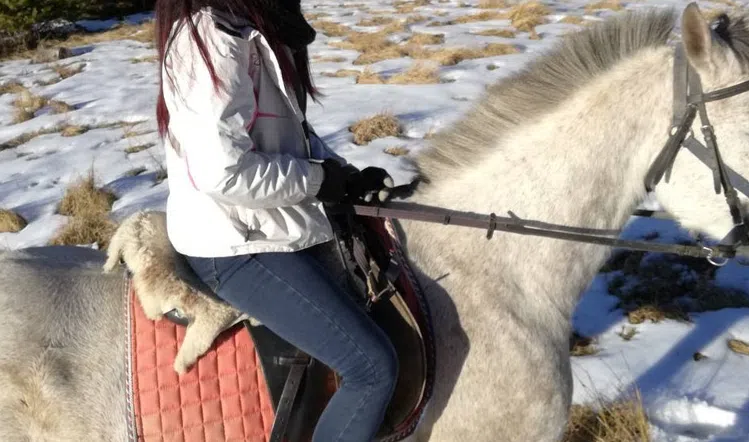 The Ultimate Private Balkan Horse Riding Experience, listing photo