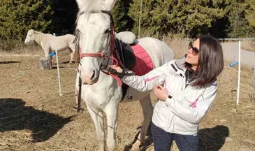 The Ultimate Private Balkan Horse Riding Experience, photo 3