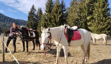 The Ultimate Private Balkan Horse Riding Experience, photo 2