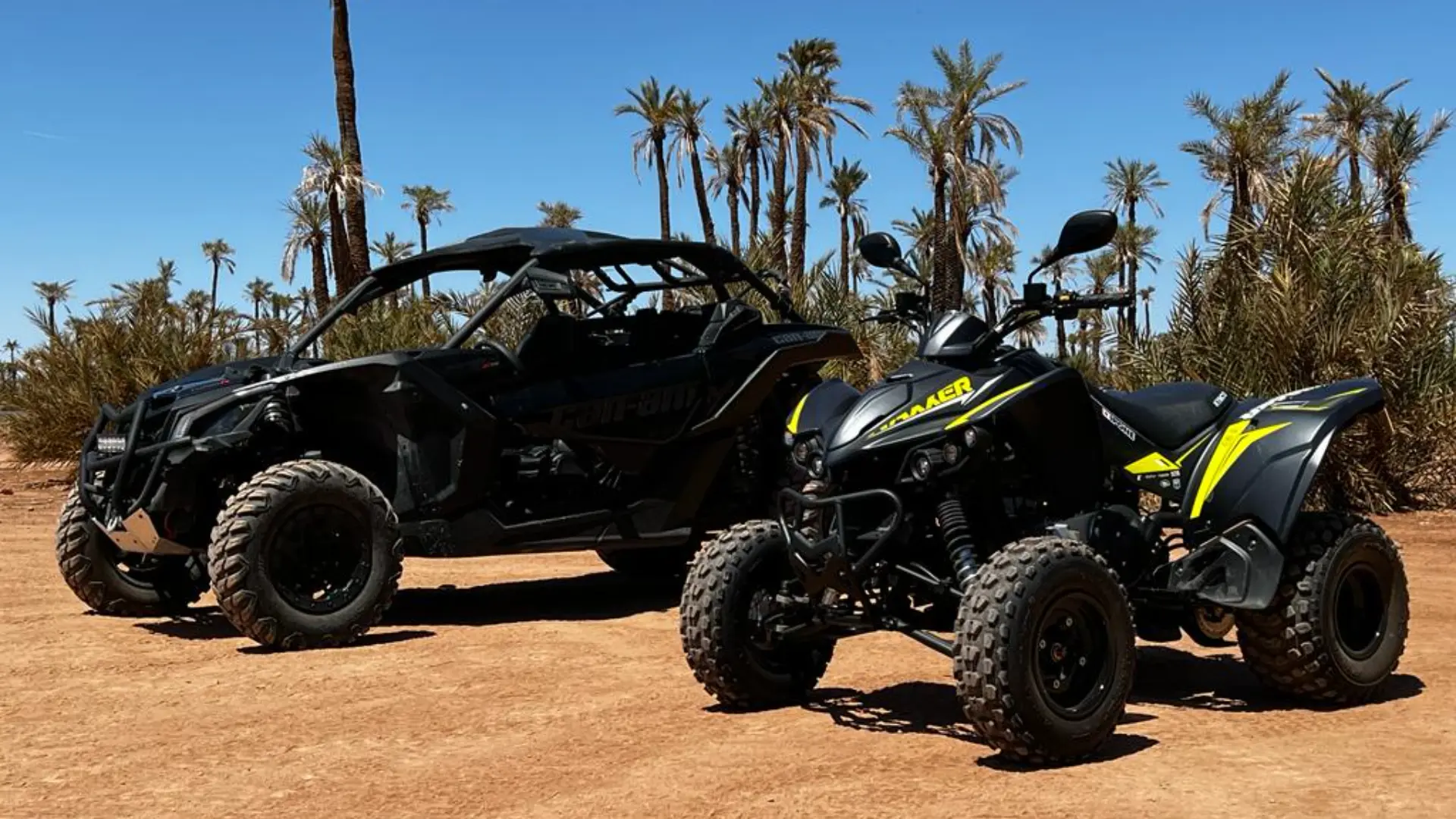 Agafay Buggy for 2 and Camel Ride in Marrakech