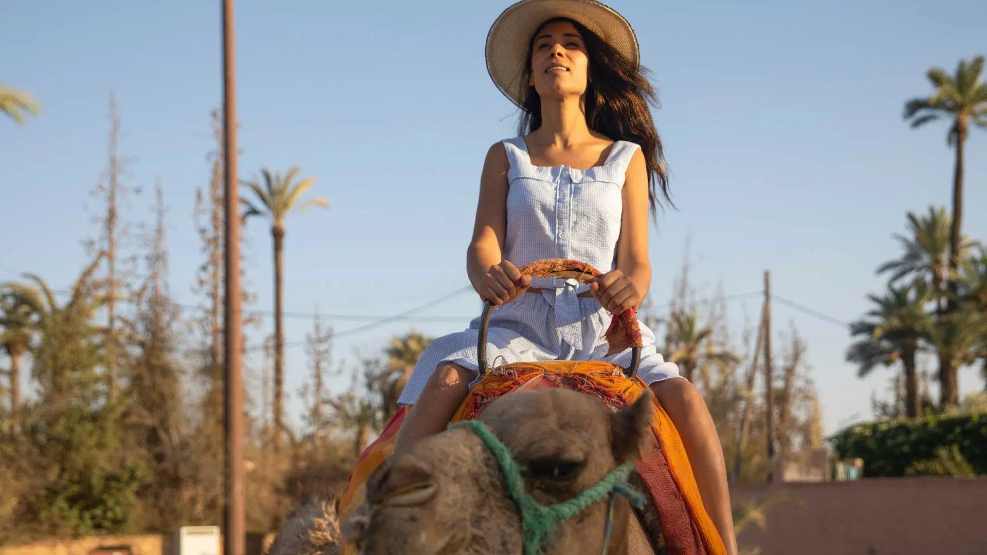 Camel rides