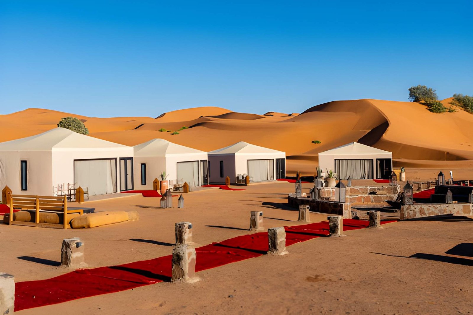12 Day Signature Sahara and Cities Tour