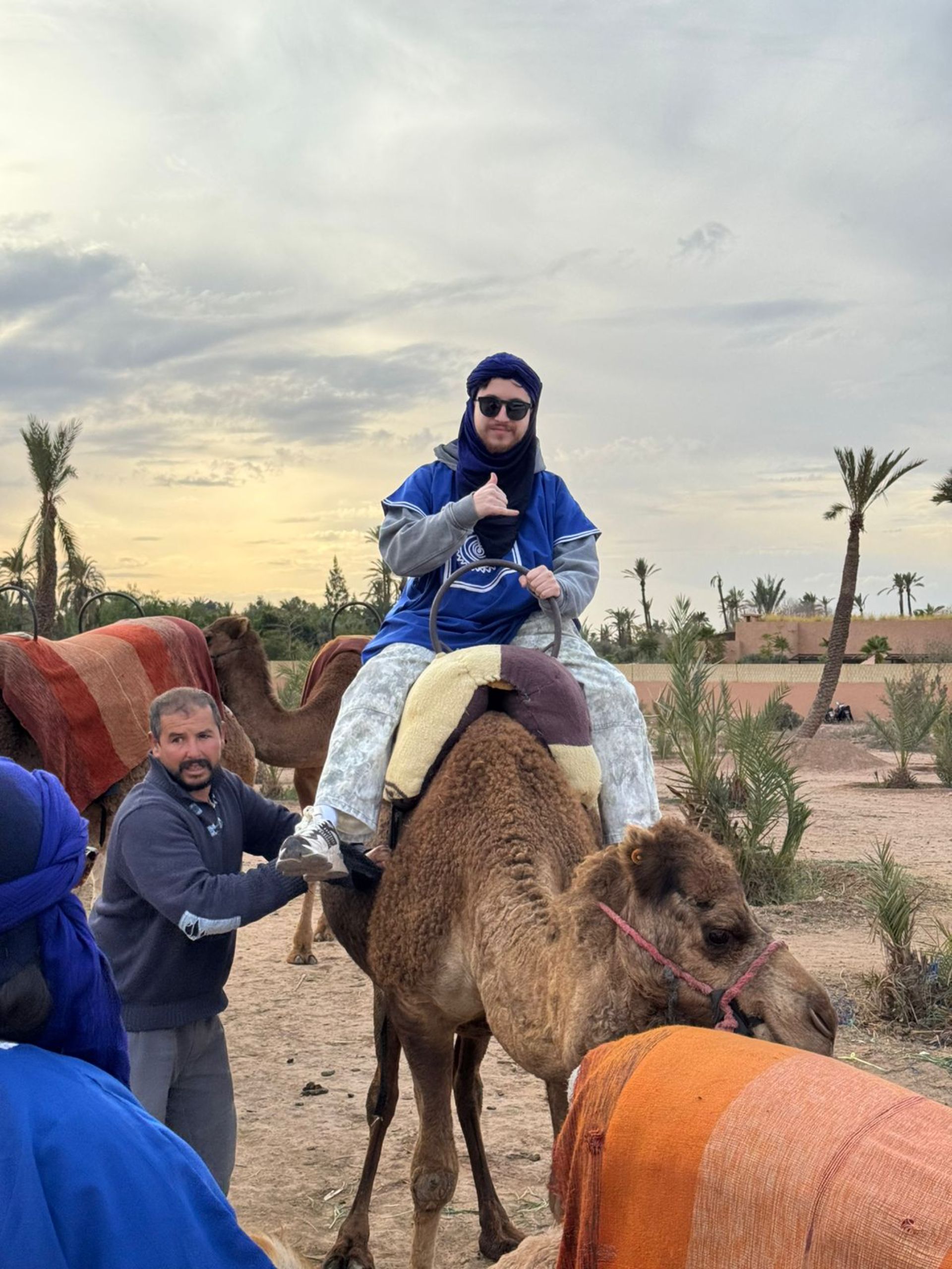 Sunrise Balloon & Camel Trek