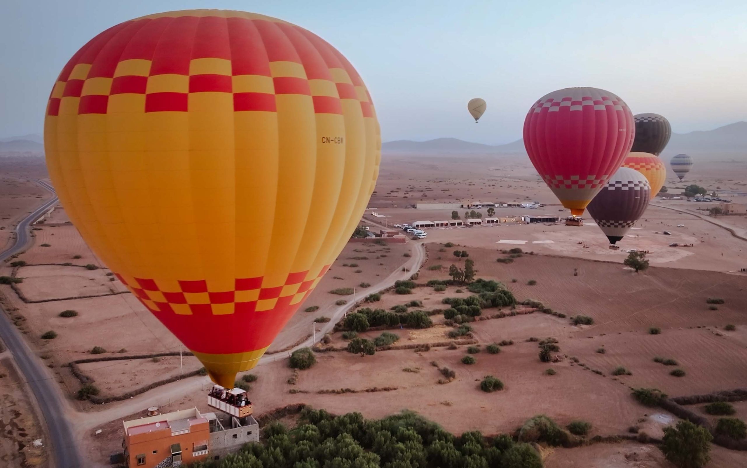 Sunrise Balloon & Camel Trek