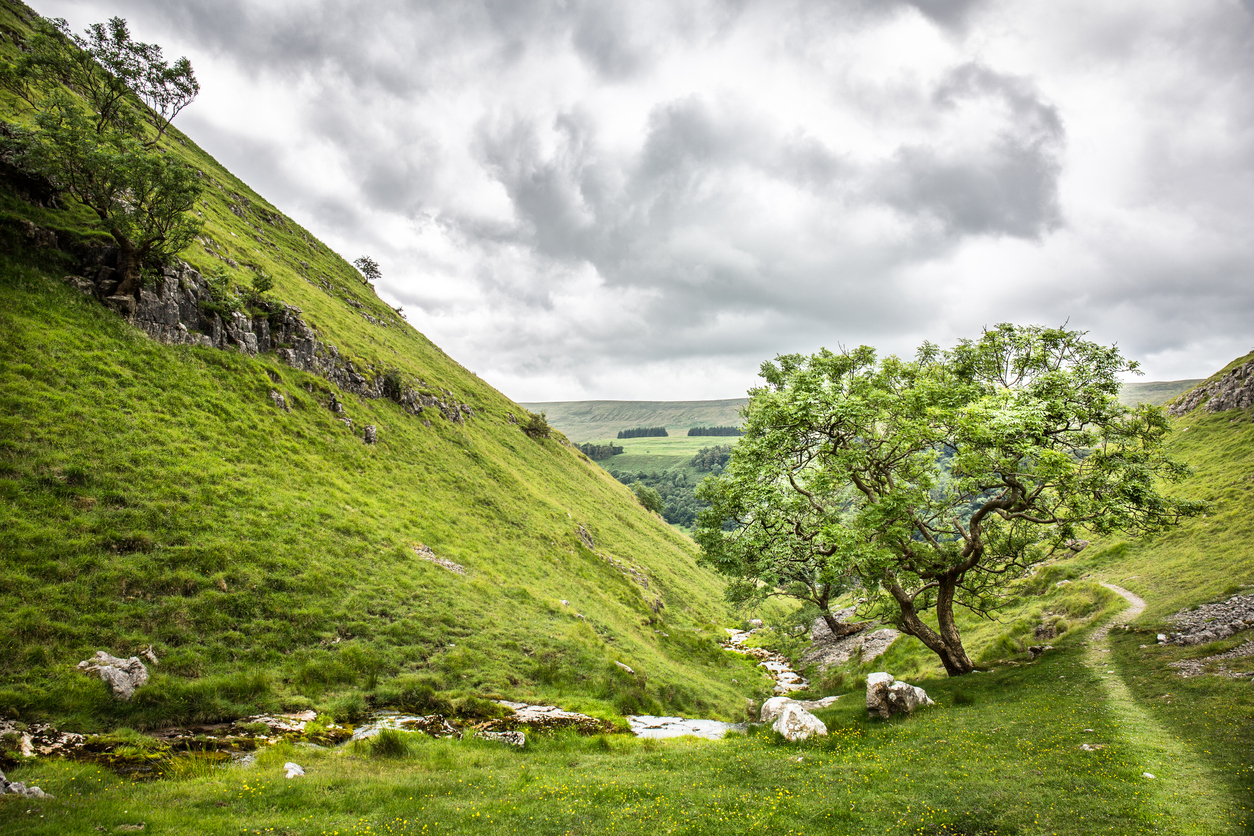Guided day walk in the Yorkshire Dales
