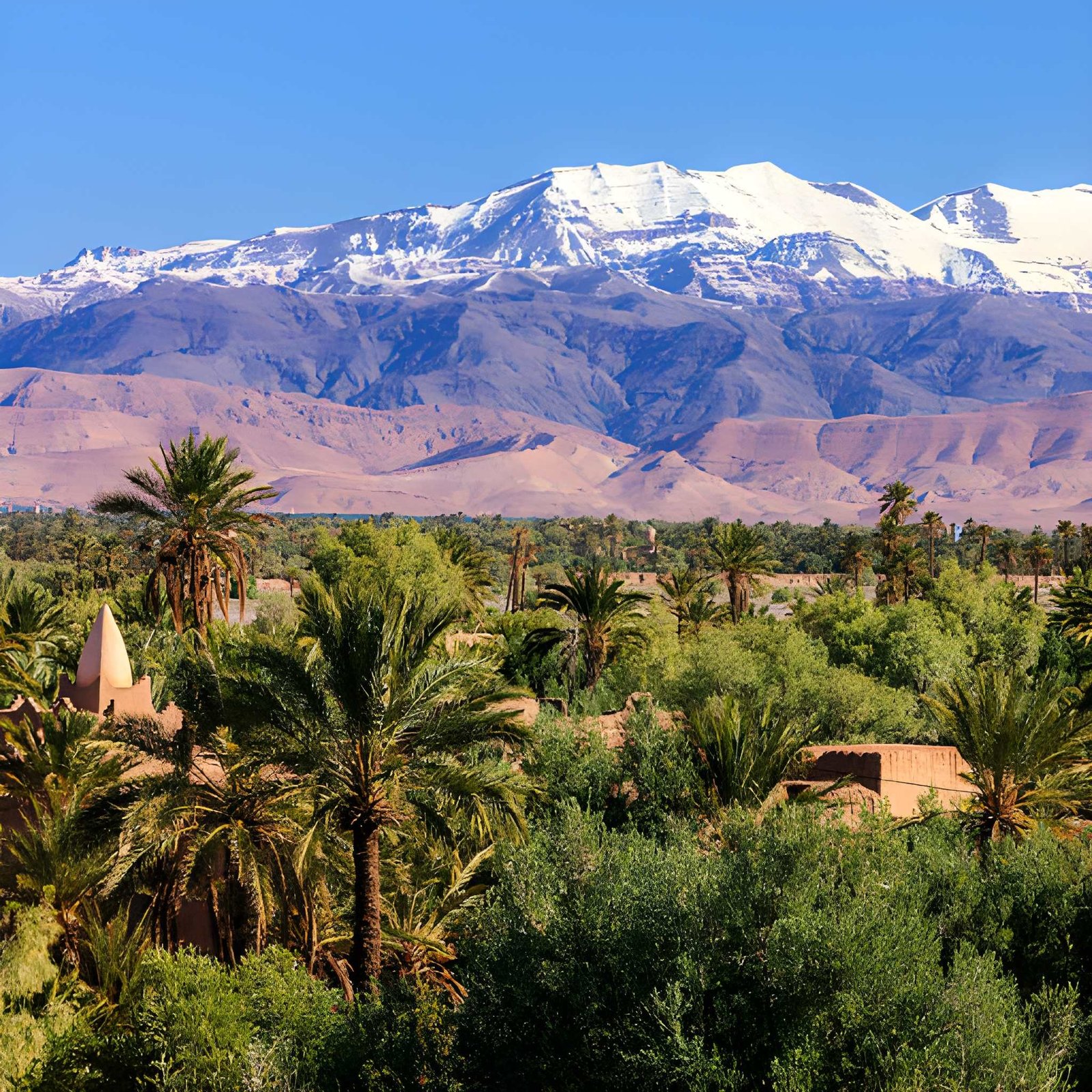 9 Day Family Walking Tour
