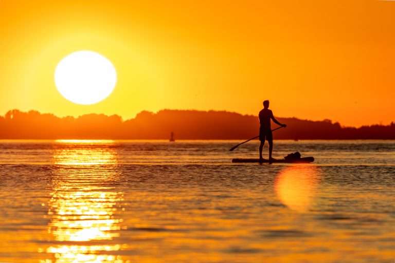 Learn to Paddleboard: Your Complete Guide
